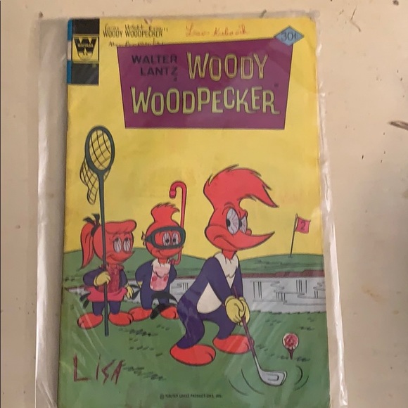 Woody Woodpecker Other - Woody Woodpecker Comic Book 1977 Vintage